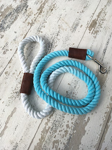 Dip dyed rope leads hippy-hound