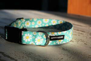 Pet: Daisy dog collar hippy-hound