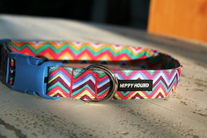 Rainbow ZigZag hippy-hound