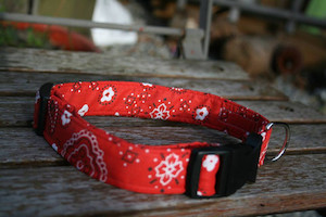 Red western bandana collar hippy-hound