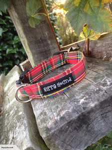 Traditional red tartan collar hippy-hound