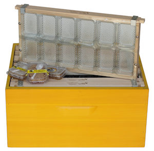 Comb Sections: Apibox Maxi Comb Honey System