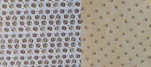 Bees Gift Wrap - Hive World