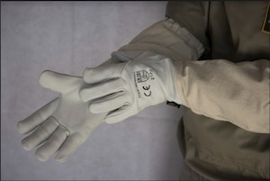 Beekeeper Protection: The Beekeeper Beekeeping gloves - Hive World