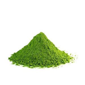 Macha Flavored Powder 500g 浓缩抹茶调味粉