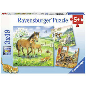 Kids Puzzles: Cuddle Time - 3x49 Pieces