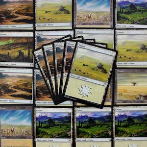 MTG BASIC LAND PACK: PLAINS : : Hobby Master