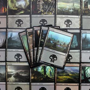 MTG BASIC LAND PACK: SWAMPS : : Hobby Master