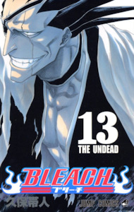 Bleach Manga Volume 13