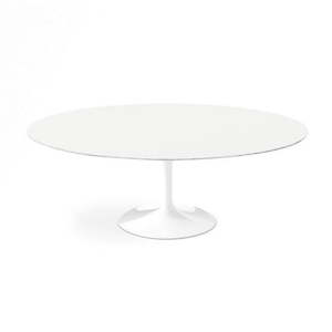 Tulip Oval Dining Table – Timber Top