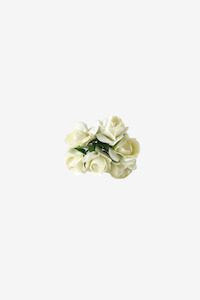 Long Stem Roses - White