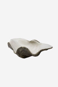 Porcelain And Ceramics: Resin Clam Shell - Small