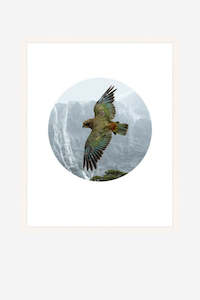 Kea, Milford Framed Art Print