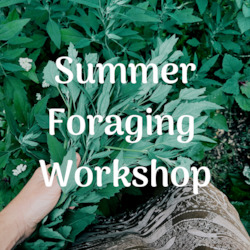 Summer Foraging Workshop