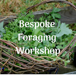 Clothing: Bespoke Foraging Session - Private Group