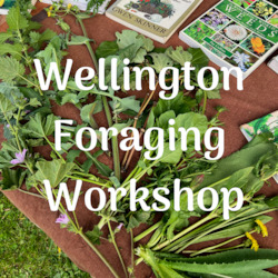 Clothing: Wellington Foraging Workshops