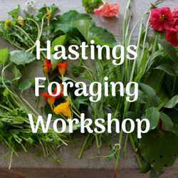 Clothing: Hastings Foraging Workshop