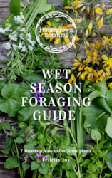 Clothing: Wet Season Foraging Guide