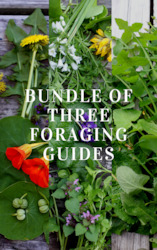 Clothing: BUNDLE of 3 x Foraging Guides ~ Edible Weeds focus