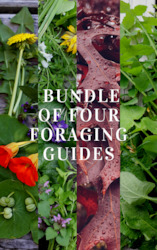 Clothing: BUNDLE of 4 x Foraging Guides ~ Edible Weeds + Trees