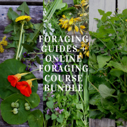 Clothing: Foraging Guides + Online Foraging Course Bundle