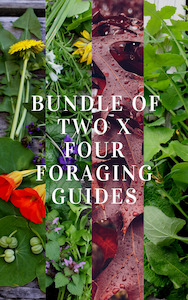 Bundle 2 x Sets of Foraging Guides ~ Edible Weeds + Trees (8 guides in total)