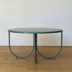 Stainless Steel Rotoiti Table - Fern