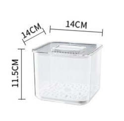 Fridge Storage Container -Small