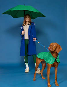 Classic Limited Edition Park Green Umbrella