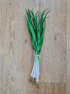 Spring Onion Bunch