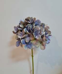 Winter Hydrangea Purple/Blue