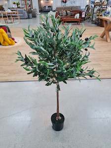 Olive Topiary