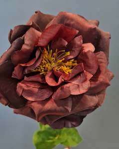 Damask Rose