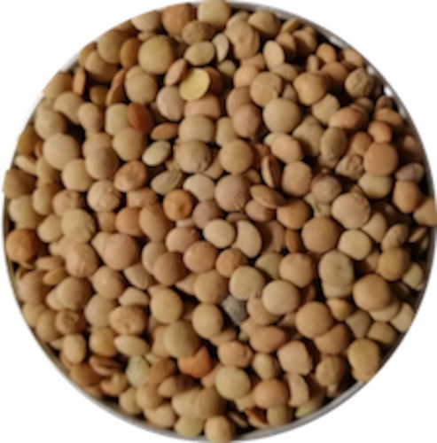 Brown Lentils - Organic