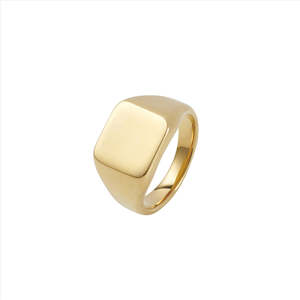 IP 14K Gold Polished Stainless Steel Signet Ring