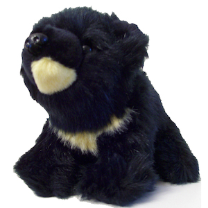 Craft material and supply: Cute Soft Toy – Moon Bear Teddy