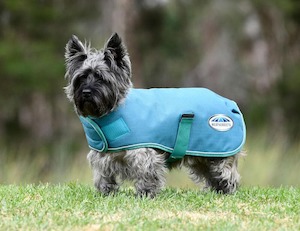 Sporting equipment: Weatherbeeta Green-Tec 1200D Parka Dog Coat Medium