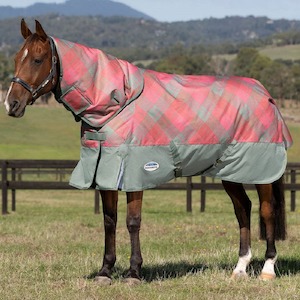 Sporting equipment: Weatherbeeta ComFiTec Prmier Free II Detach-A-Neck Medium - Pink/Rose/Plaid