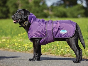 Sporting equipment: Weatherbeeta ComFiTec Windbreaker 420D Deluxe Dog Coat