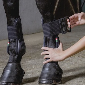 Sporting equipment: Acavallo Opera Gel Tendon Boots with E-Click Closure