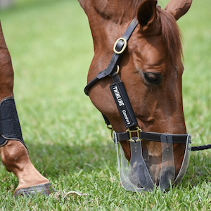 Sporting equipment: Flexible Filly Grazing Muzzle