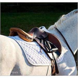 Sporting equipment: Thinline Trifecta Cotton Half Pad