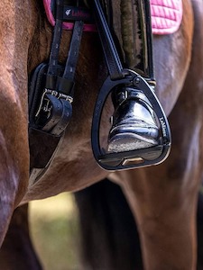 Sporting equipment: LeMieux Vector Control Stirrup