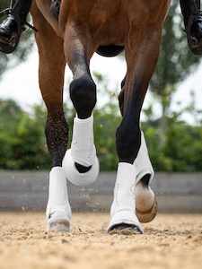 Sporting equipment: LeMieux Motionflex Dressage Boot