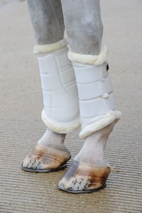 Sporting equipment: Bucas Brushing Boots