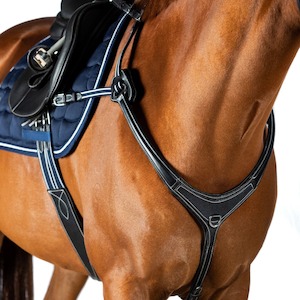 Flexible Fit Amanda Ross 5 Point Breastplate