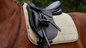 Sporting equipment: LeMieux Dressage Work Pad - Fern