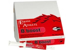 B Boost Paste Syringe by Vetpro