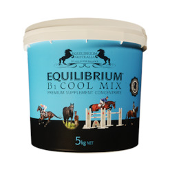 Equilibrium B1 Blue Cool Mix