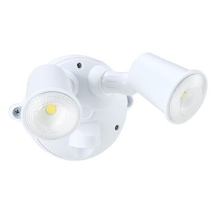 Security: LED Spotlight 2 x 10W (White) Security Lighting